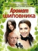 Аромат шиповника