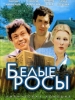 Кино Белые Росы_Русское кино