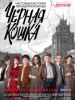 Черная кошка